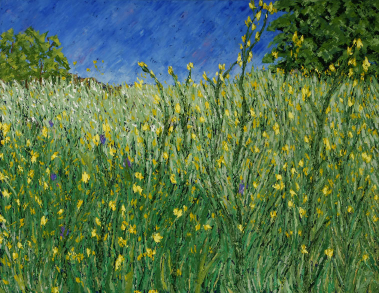 Colorist,Landscape, Sierra Mountains, Painter, Expressionist,